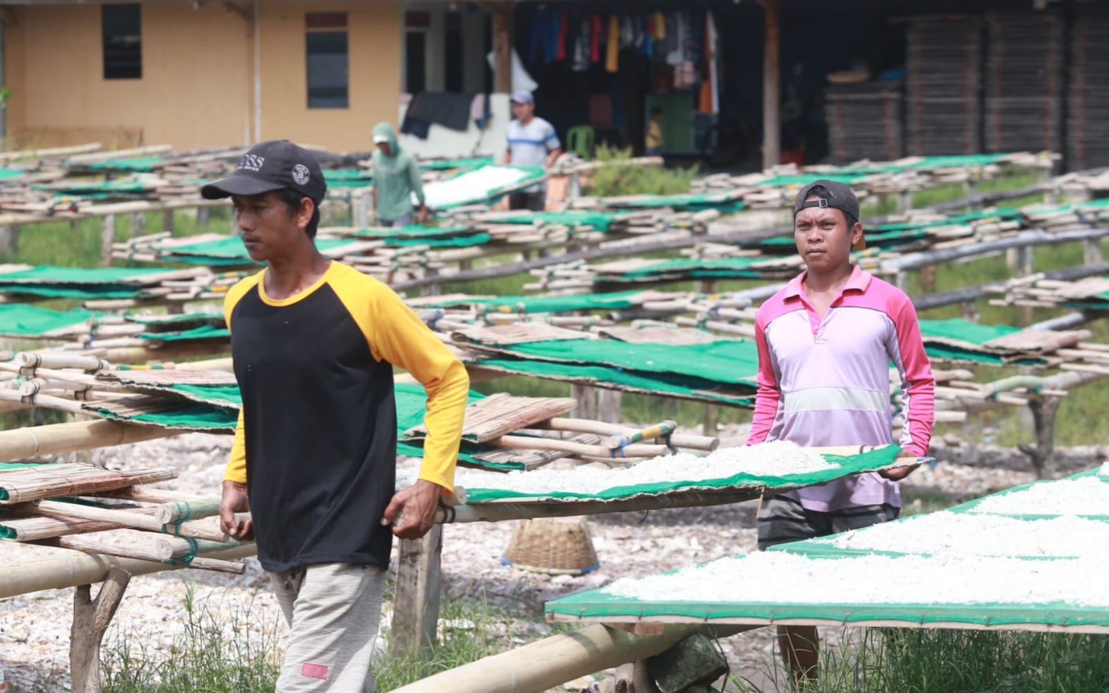PENJUAL IKAN TERI