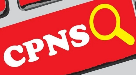 Rekrutmen CPNS dan PPPK Tahun 2022 Dibuka, Simak Formasinya