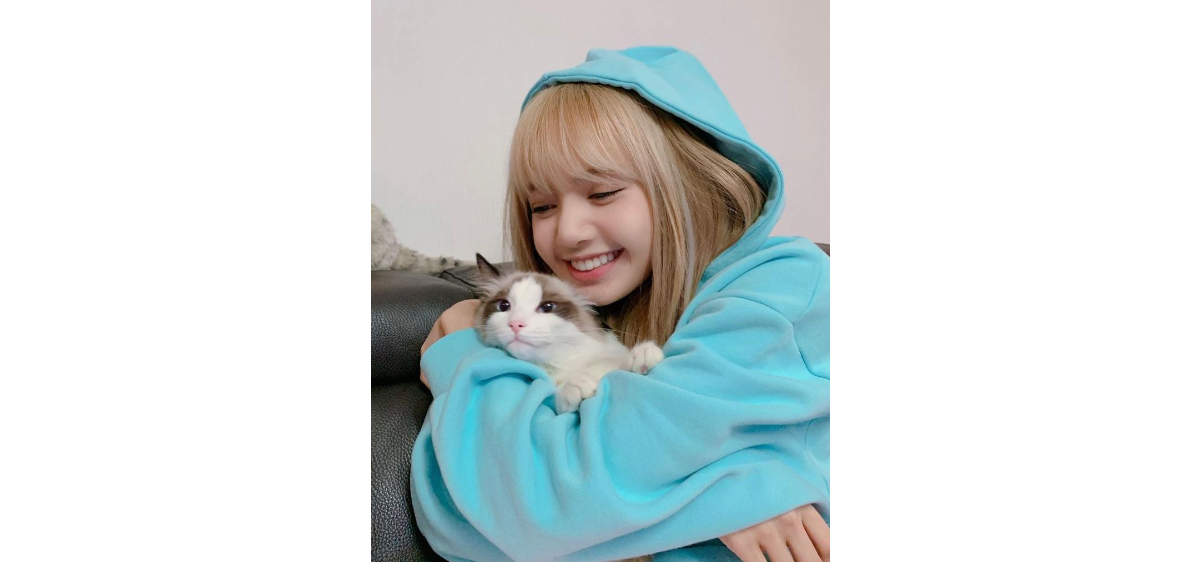 Fakta Menarik Luca, Kucing Kesayangan Lisa Blackpink