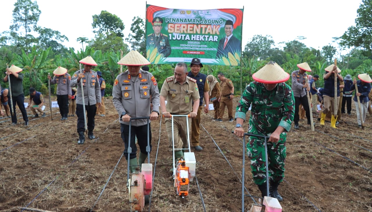 Dukung Ketahanan Pangan Nasional, Polres - Pemkab Tanggamus Tanam Jagung Serentak di Talang Padang