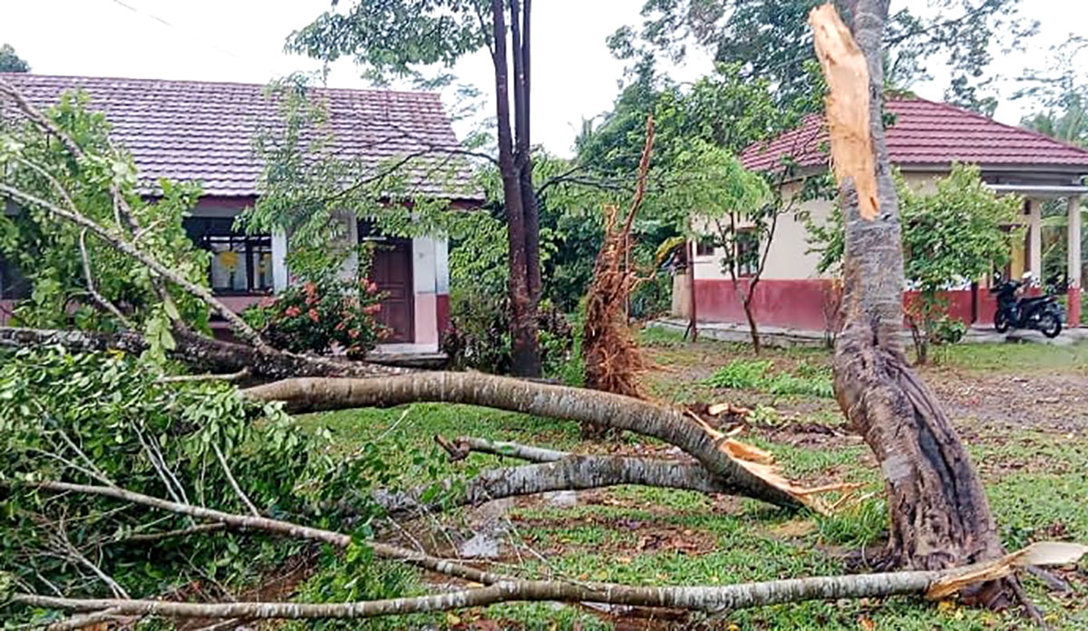 Masuk Musim Hujan, Waspada Tiga Jalur Rawan Longsor di Lampung Barat