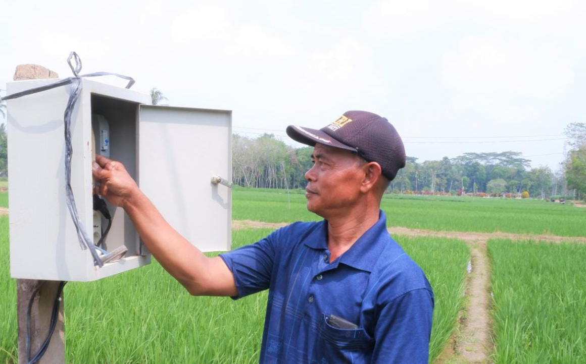 Modernisasi Pertanian Lewat Electrifying Agriculture PLN, Dorong Petani di Lampung Raup Untung