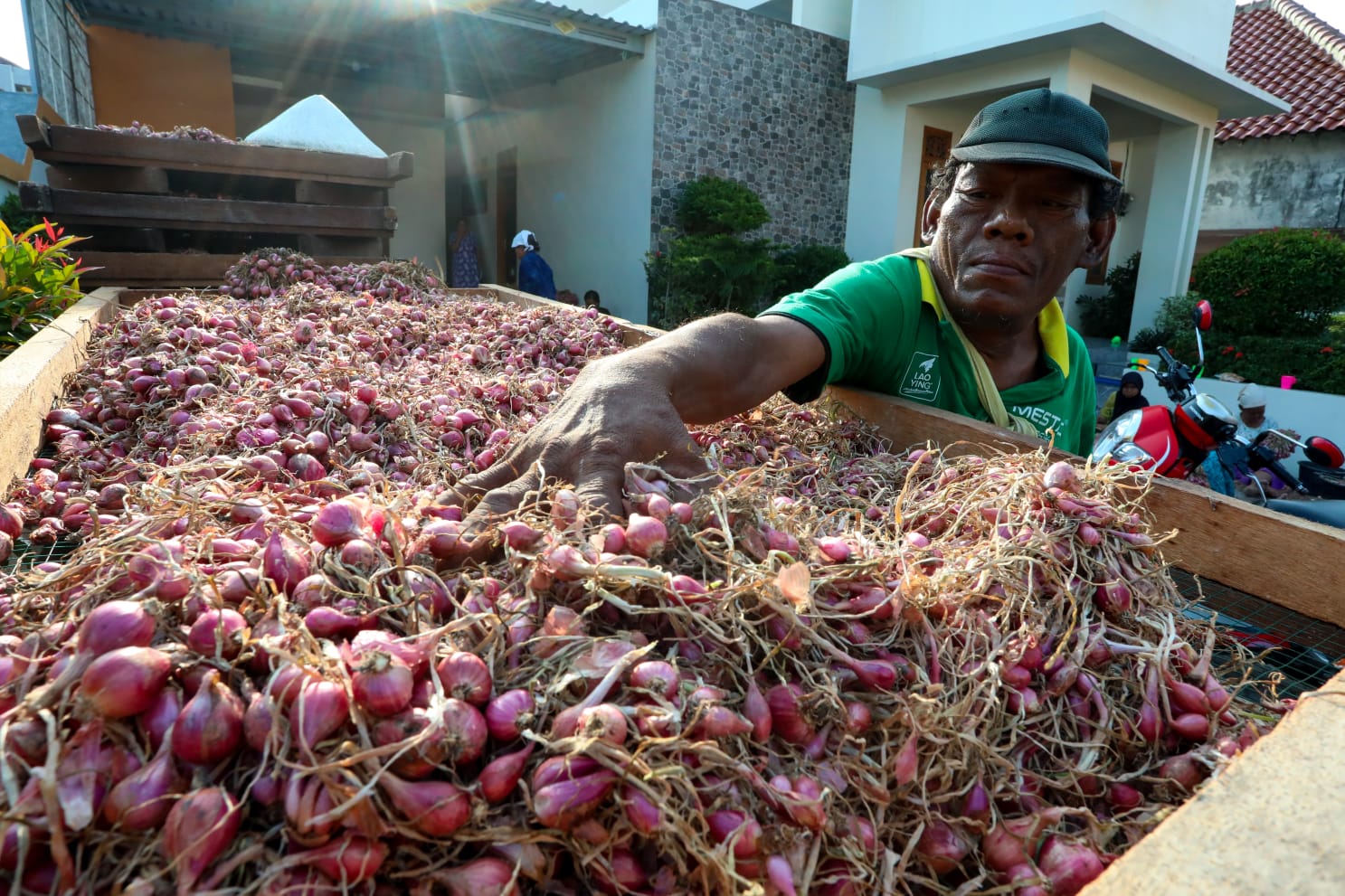 Harga Bawang Merah Turun, Tapi...