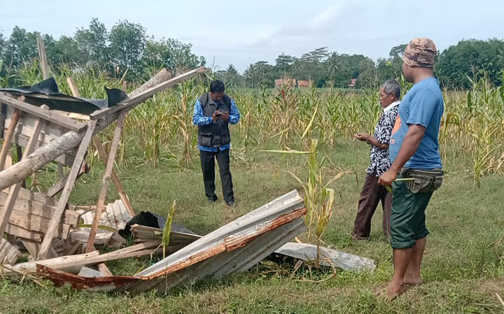 Warga Lampung Timur Tewas Diserang Gajah, TNWK Ambil Langkah Ini