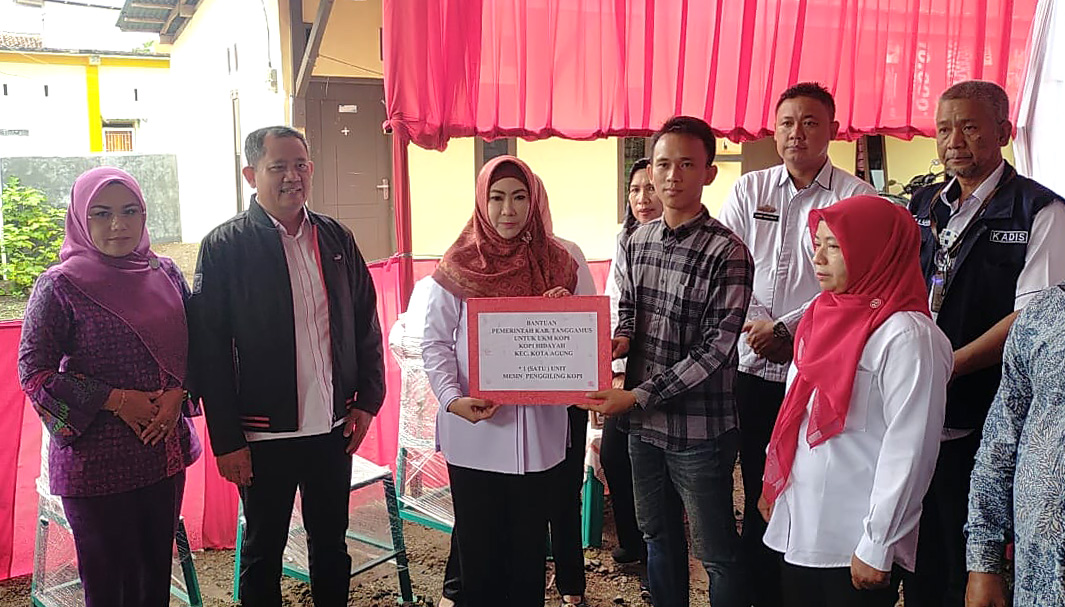 Kembangkan Sektor Unggulan UMKM, Pemkab Tanggamus Ambil Langkah Ini