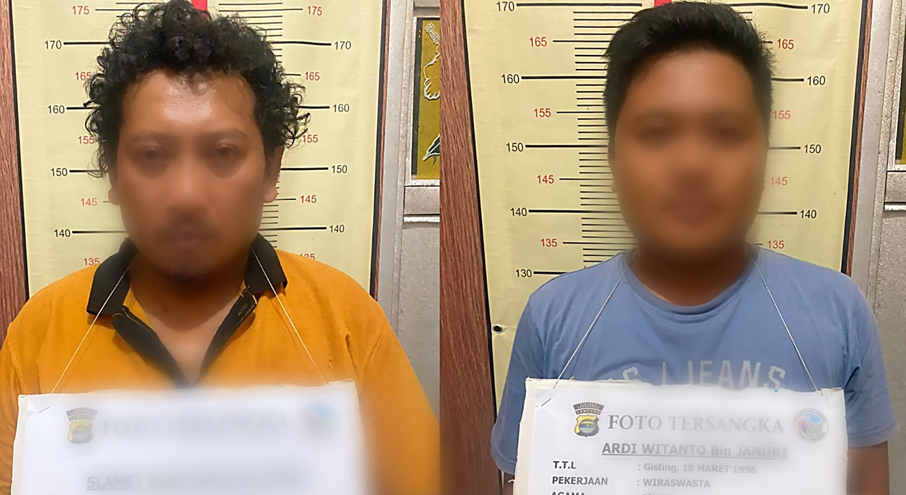 Satresnarkoba Polres Tanggamus Lampung Bergerak, Pengedar dan Pemakai Sabu Dibekuk
