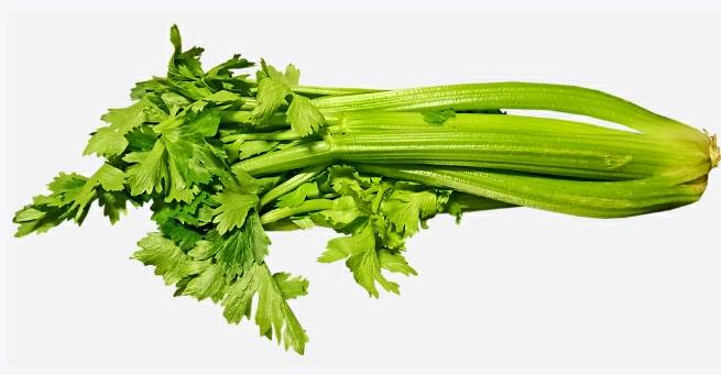 Tips Menyimpan Daun Seledri Agar Tetap Harum dan Segar