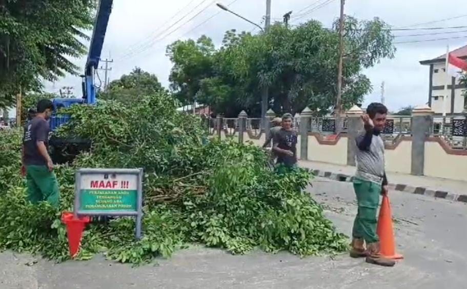 Dinas LH Kota Metro Antisipasi Pohon Tumbang