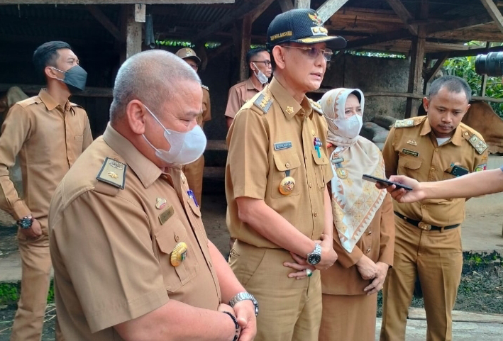 Target Vaksinasi PMK, Dinas Pertanian ‘Berburu’ Ternak di Pringsewu