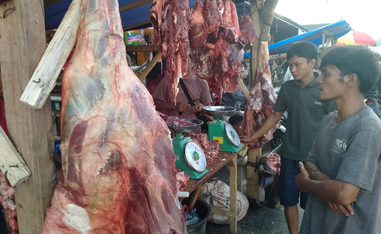 Waduh! Harga Daging di Tanggamus Bikin Geleng-geleng