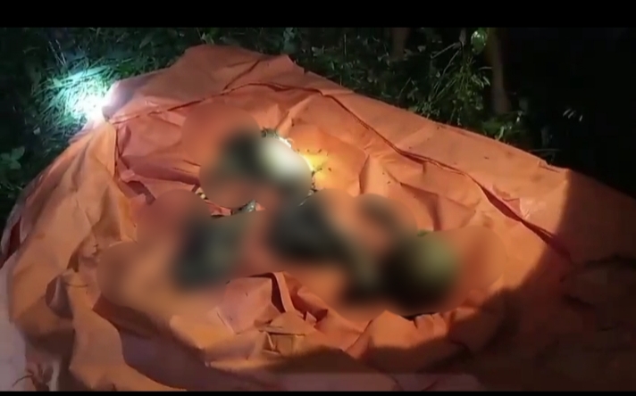 Seram! Tulang Kerangka dan Tengkorak Kepala Manusia Ditemukan Berserakan di Pinggir Kali