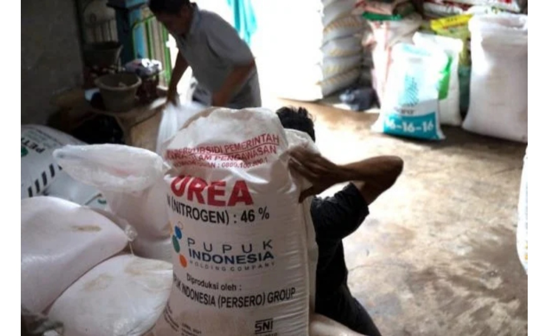 Ini Jumlah Penyaluran Pupuk Subsidi di Lampung