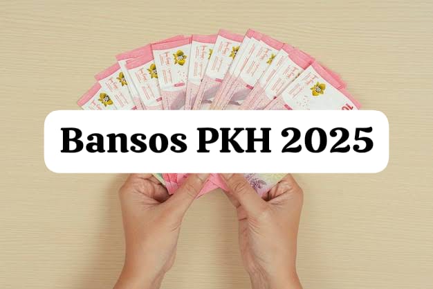 Jangan Lewatkan Bansos PKH Cair Februari 2025, Cek NIK KTP Penerima Bantuan Saldo DANA Gratis Sekarang