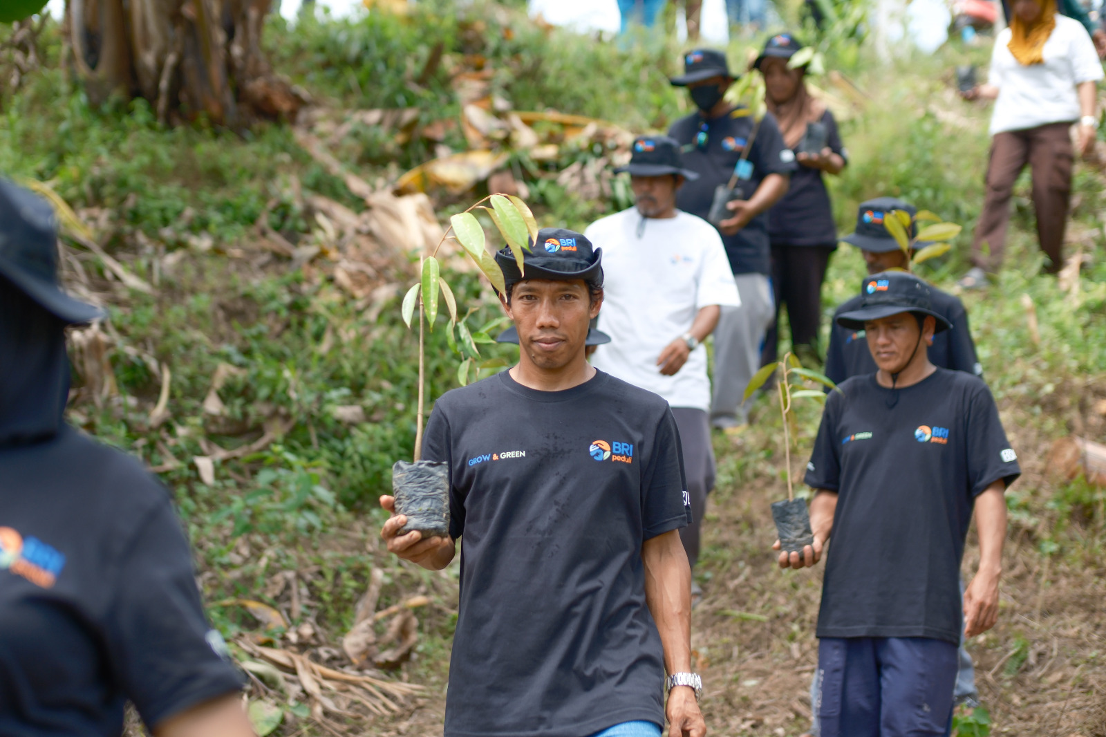 BRI Menanam Grow dan Green Salurkan Bantuan Tanaman Produktif