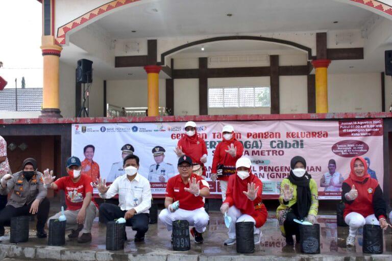 Menanam Cabai bisa Kendalikan Inflasi, Kok Bisa?