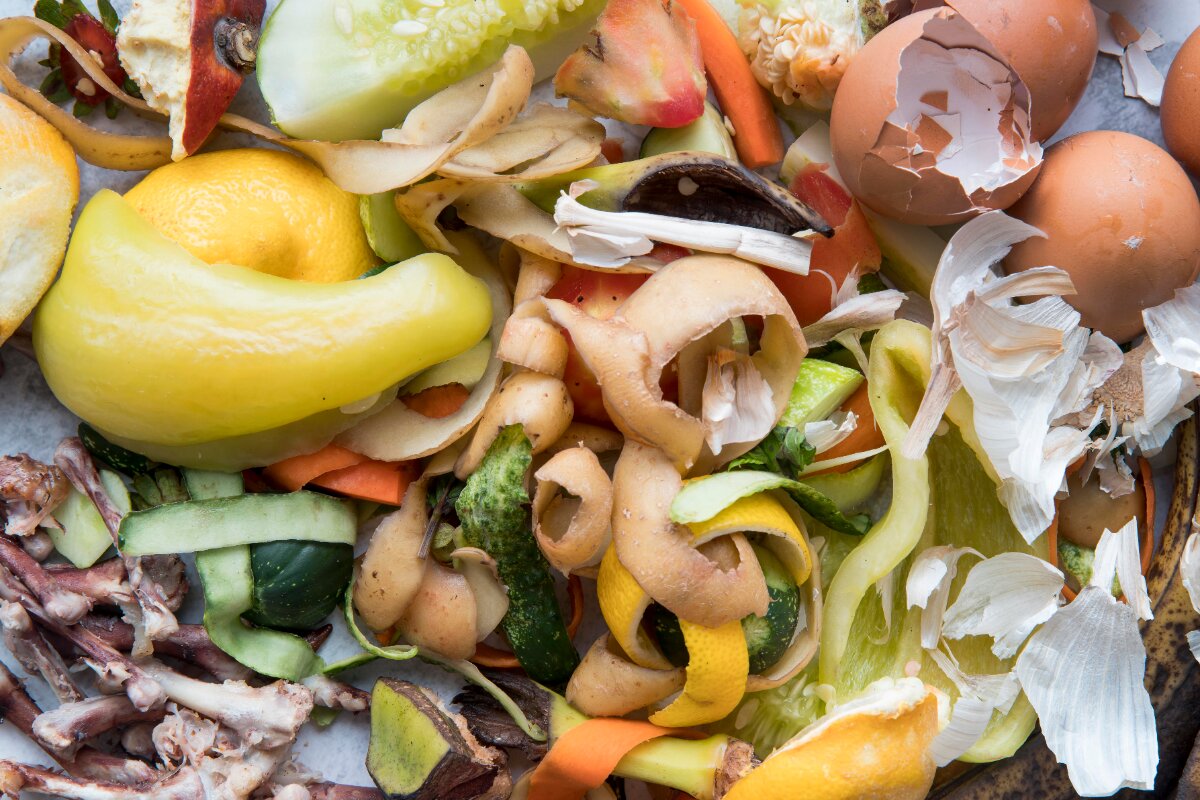 Mengenal Eco Enzyme Cairan Serbaguna dari Sampah Organik yang Memiliki Berbagai Manfaat Simak Penjelasan Ilmia