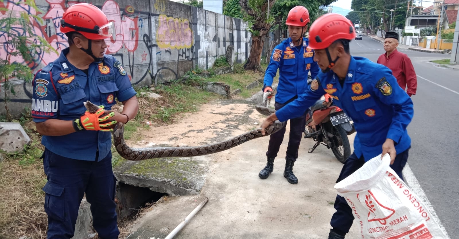 Dalam 3 Hari, Damkarmat Bandar Lampung Lakukan 5 Kali Upaya Evakuasi Penyelamatan