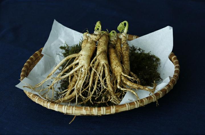 4 Types of Herbs That Are Good for Body Health