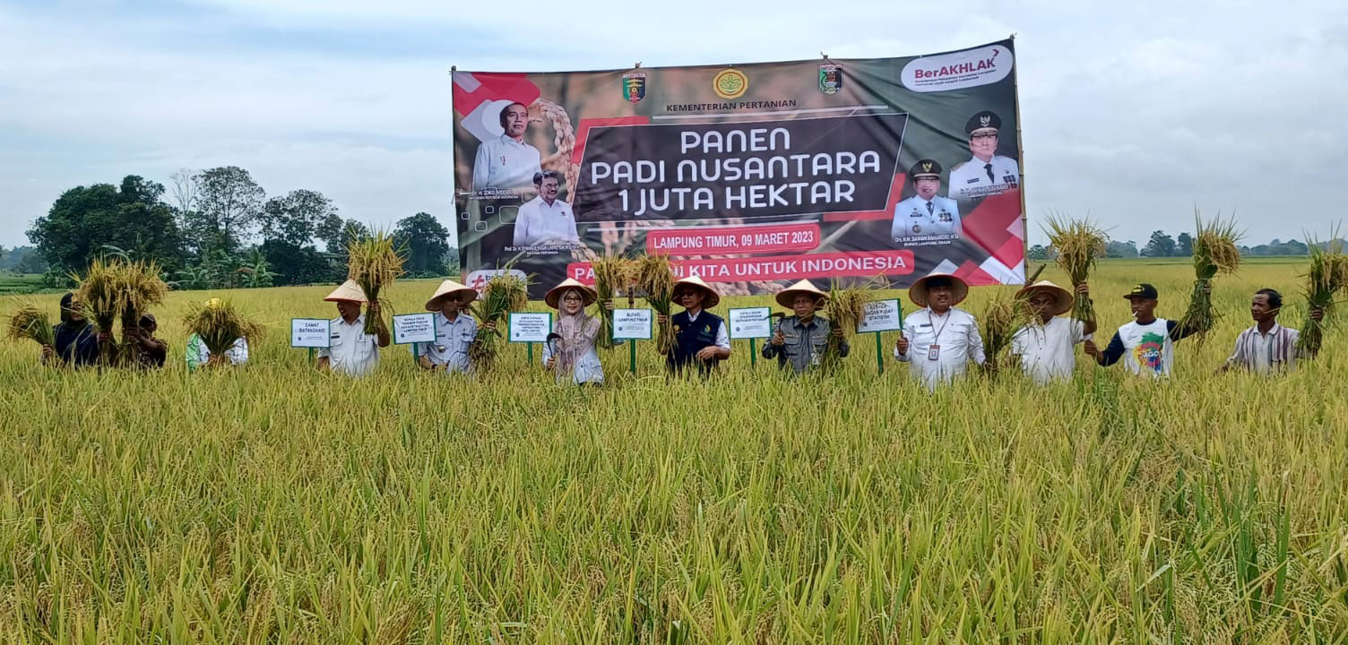 Lampung Timur Jadi Lokasi Program Panen Padi Nusantara Satu Juta Hektare