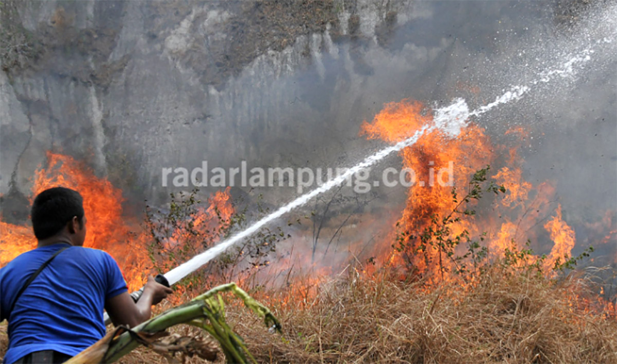 Kebakaran Semak di Samping RSUD Pringsewu Lampung, Alhamdulillah Pasien Aman