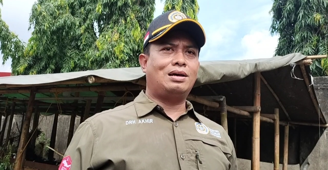 Balai Karantina Pertanian kelas I Bandar Lampung berbagai Tips Penanganan Rabies pada hewan