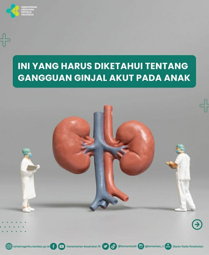 Fenomena Penyakit Ginjal pada Anak, Dinas Kesehatan Pesawaran Inspeksi Apotek sampai Sebarkan Surat Edaran