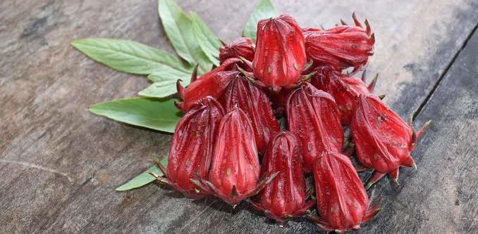 Boleh Dicoba! Obati Kolestrol Tinggi Dengan Rebusan Bunga Rosella