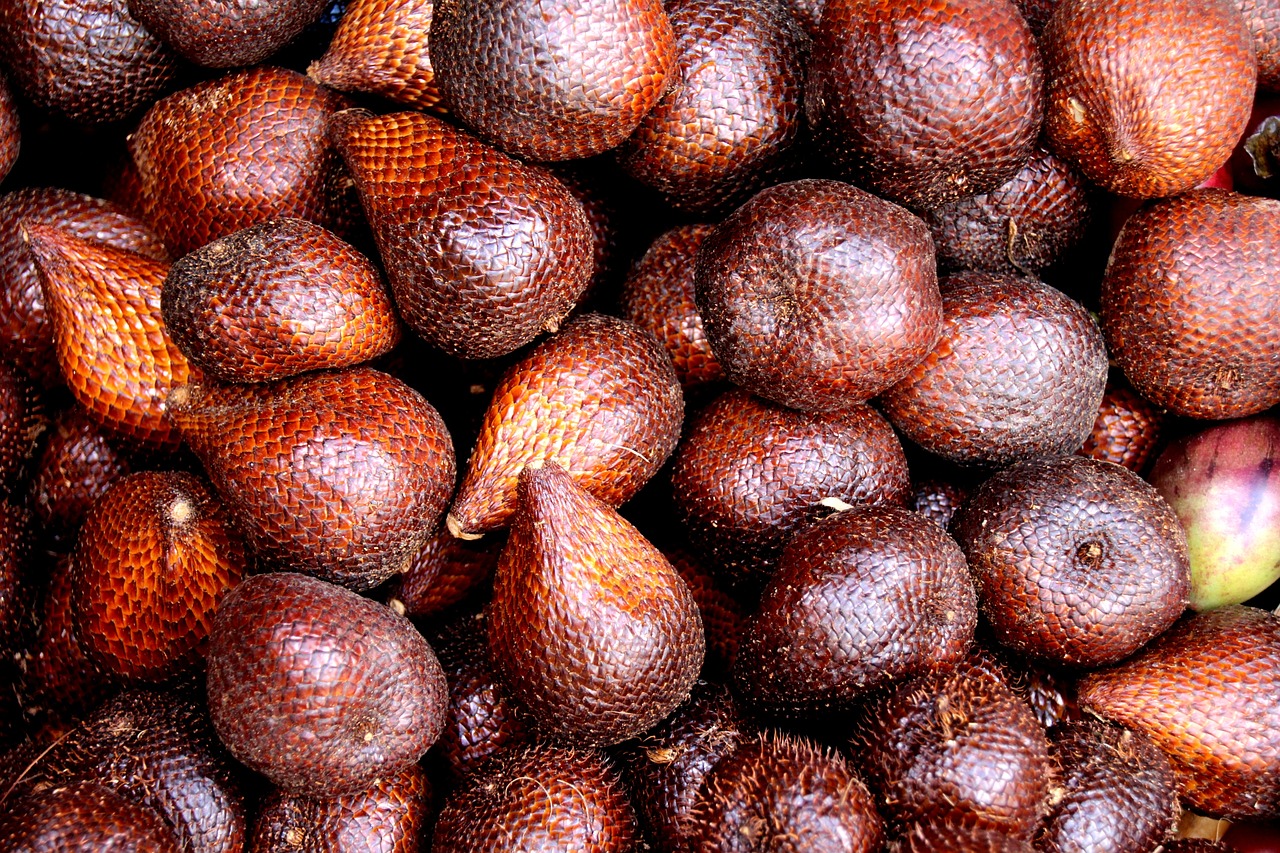 Manfaat Buah Kulit Salak: Sumber Nutrisi dan Kesehatan yang Tersembunyi