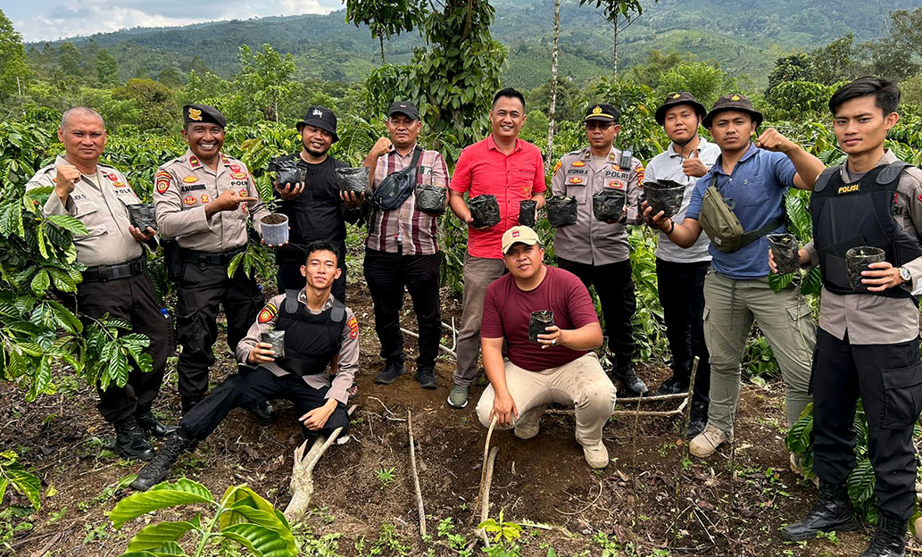 ‘Jalan-jalan’ ke Sumsel, Anggota Polres Lampung Barat Temukan Kebun Ganja di OKU Selatan