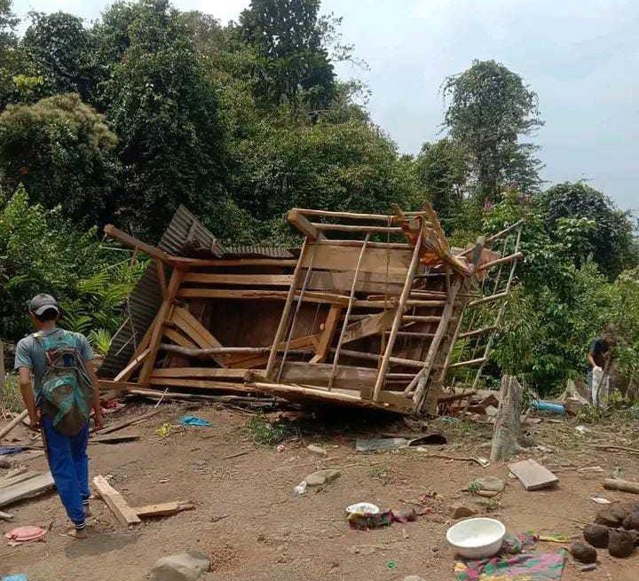 Waduh! Gajah Liar Semakin Dekati Permukiman Warga di Pesisir Barat Lampung