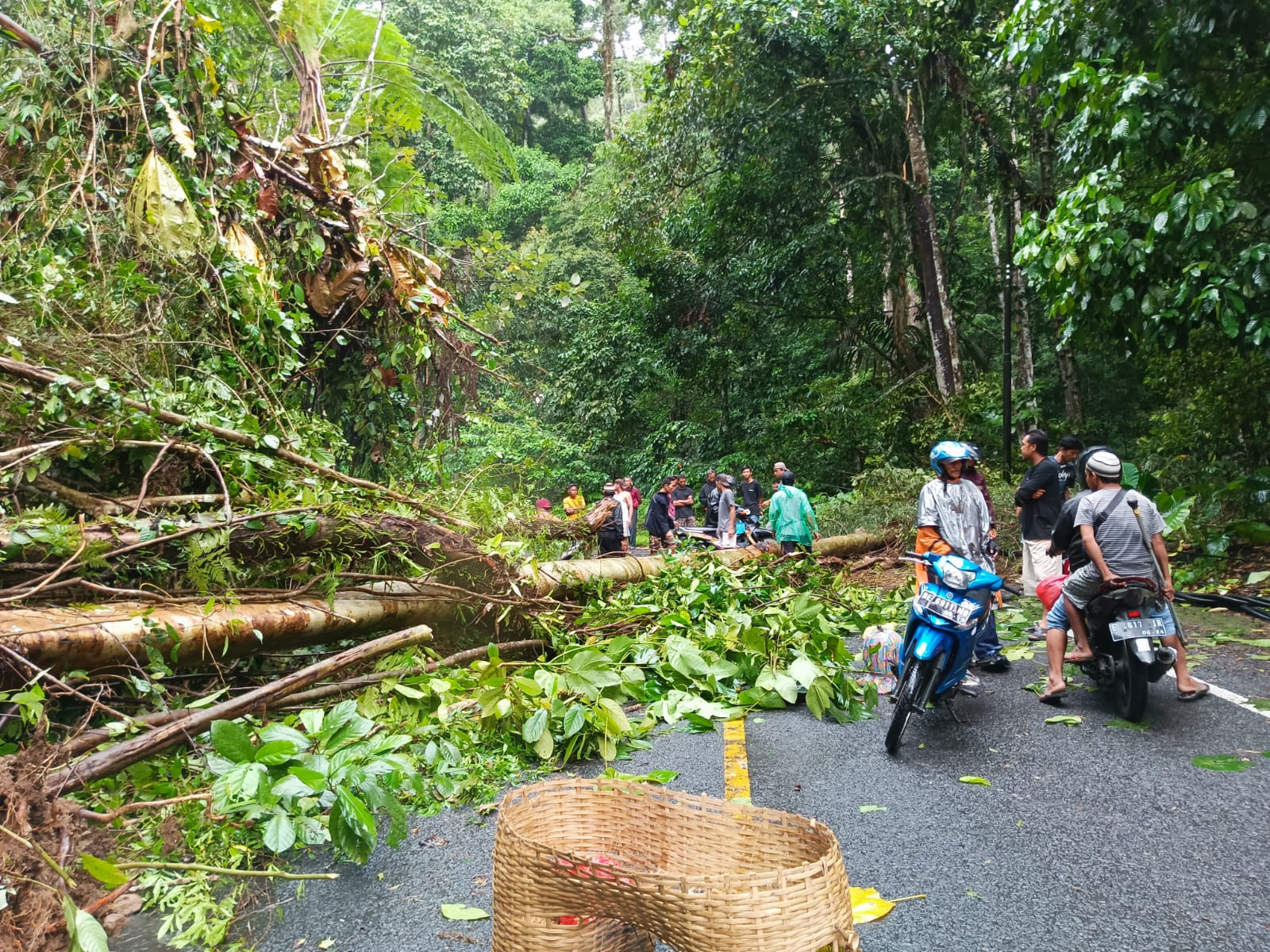 Hujan Deras, Jalur Krui Liwa Tertimbun Longsor Kini Kembali Normal