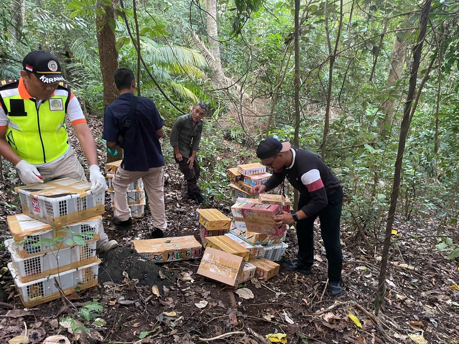 KSKP Bakauheni Amankan Ratusan Burung yang Dilindungi dari Jambi