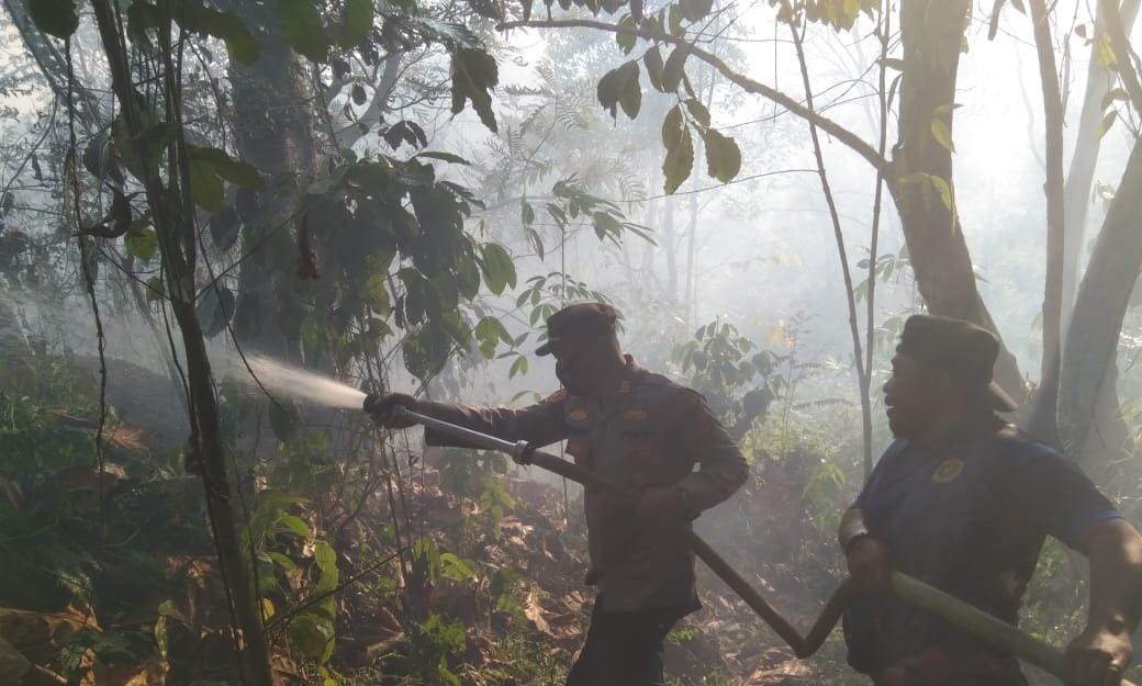 Area Perbukitan Bendungan Batu Tegi Tanggamus Terbakar, Ada Korban?