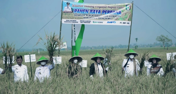 Kembangkan Sektor Pertanian, Ini Langkah Pemkab Pringsewu 