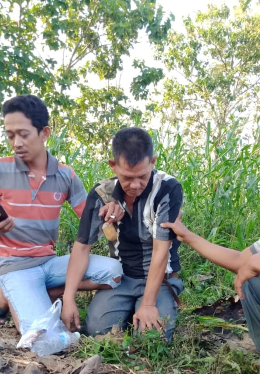 Diduga Jadi Korban Pembiusan, Sopir Angkutan Ditemukan Tak Sadarkan Diri di Kebun Jagung