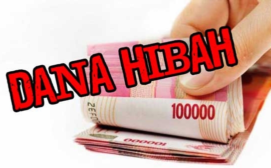 BPK Temukan Pemberian Dana Hibah Pemkab Lampung Selatan Tidak Sesuai Ketentuan