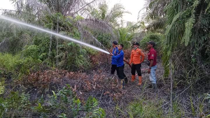 Ada 23 Kasus Kebakaran di Mesuji Sepanjang Januari Hingga September
