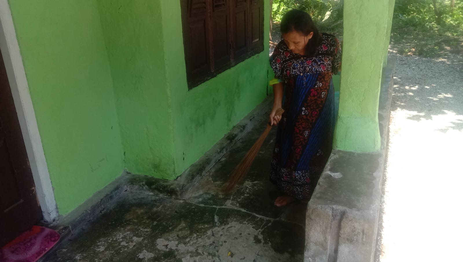 Merinding! Ribuan Hewan Kaki Seribu Berbintik Kuning Bermunculan di Pesisir Barat Lampung