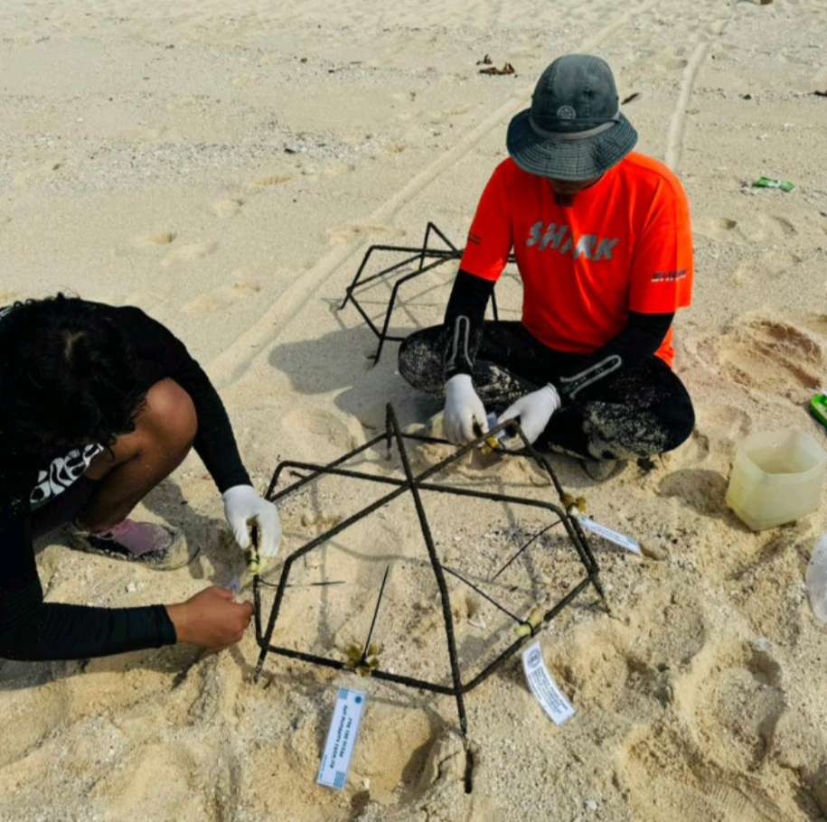 ITB Lakukan Aksi Transplantasi Terumbu Karang dengan Metode Jaring Laba-laba di Pulau Pisang, Pesisir Barat