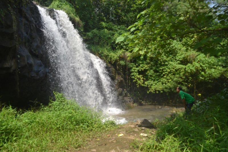 5 Destinasi Wisata di Lampung Timur, Nomor 4 Masih Alami dan Sejuk