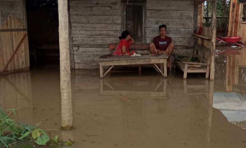 Ini Luas Lahan Terdampak Banjir di Pesawaran