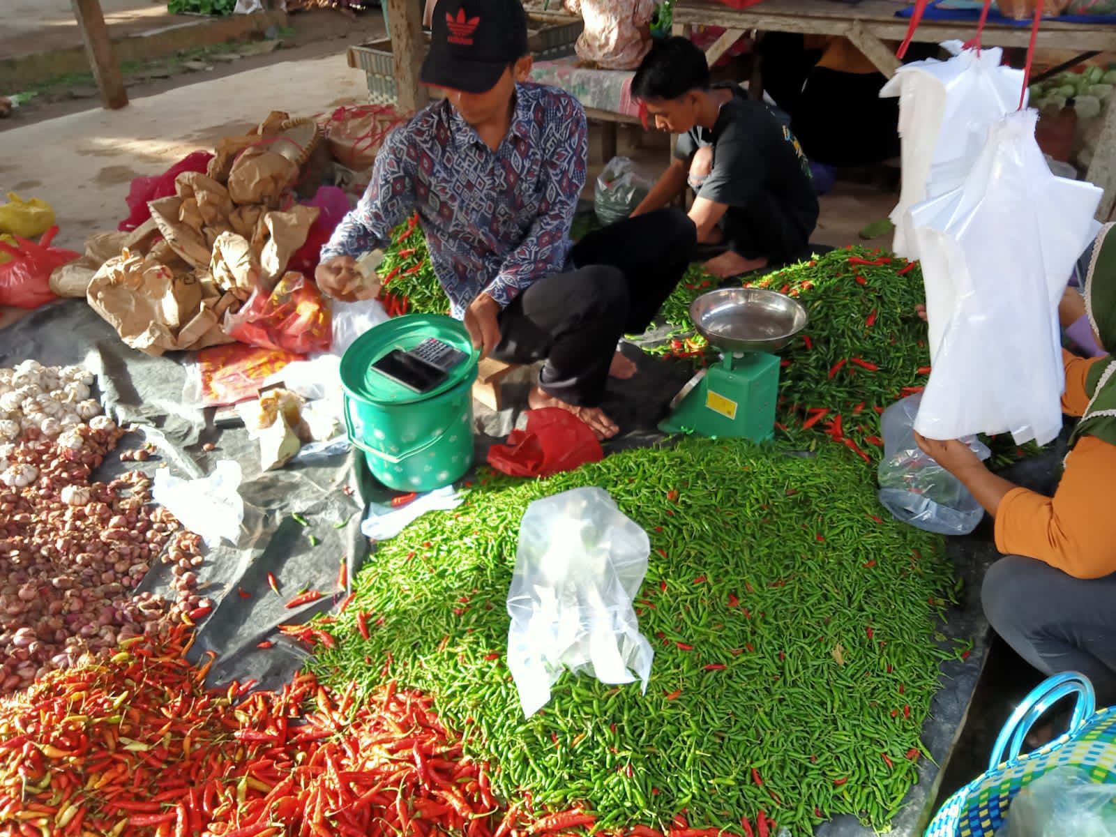Harga Cabai di Mesuji Tidak Lagi Pedas Sekilo Cuma Segini Harganya