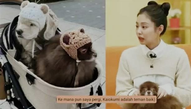 Pertama Kali Ceritakan Tentang Kai, Jennie Blackpink Mengaku Masih Berhati-hati