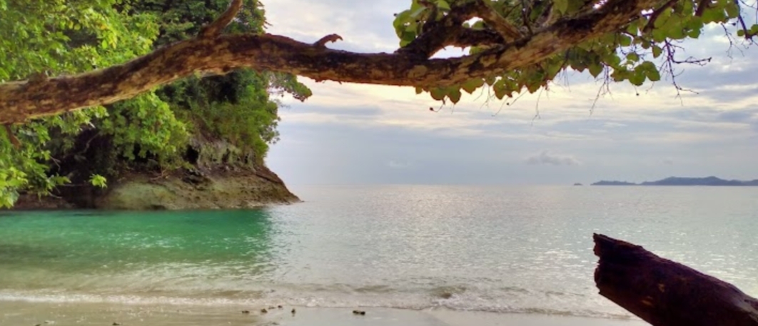 Pantai Teluk Hantu, Destinasi Wisata Lampung yang Eksotis Dengan Beragam Keindahan