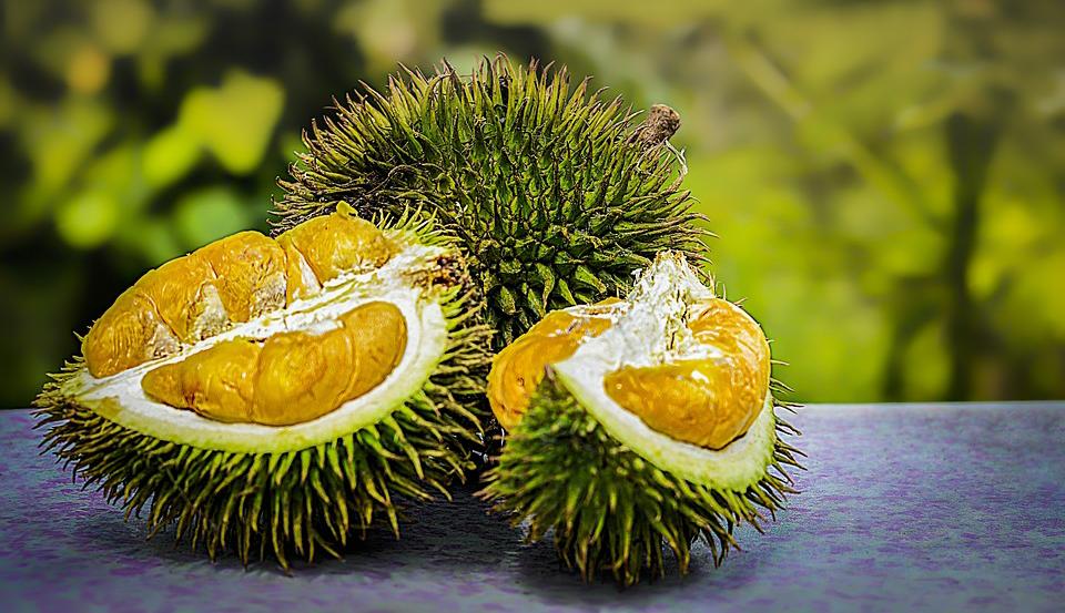 4 Buah yang Tidak Boleh Dikonsumsi Ibu Hamil Muda, Cek Mitos dan Faktanya