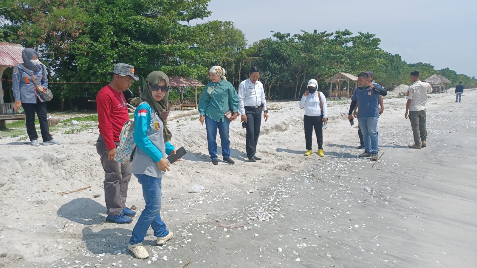 Dinas Lingkungan Hidup Lampung Pantau Limbah Hitam di Pesisir Lampung Timur, Ini Hasilnya