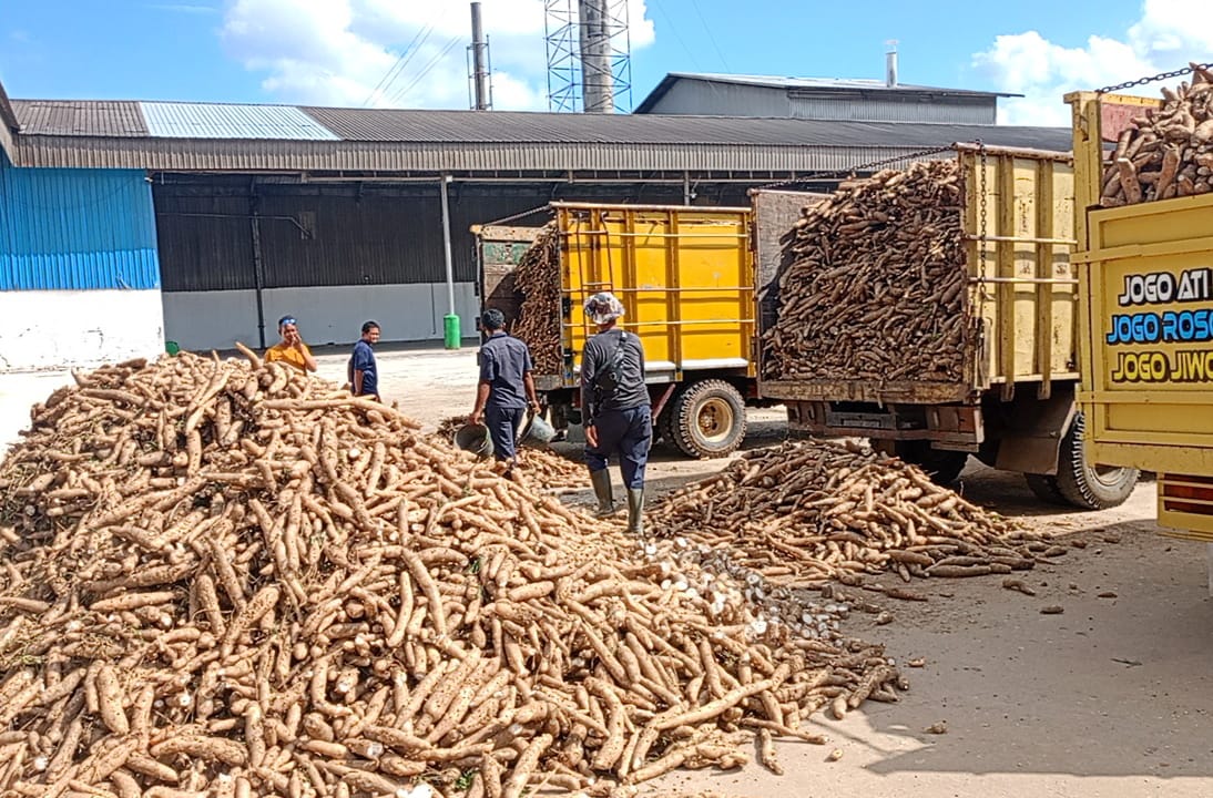 PT Budi Starch & Sweetener Mulai Terapkan Harga Beli Ubi Kayu Berdasarkan Kadar Aci