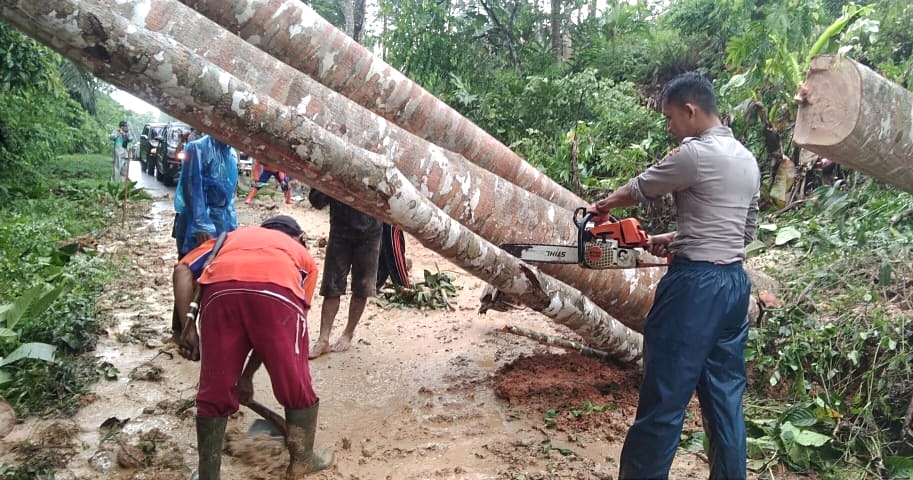 Jalinbar Pesisir Barat Lumpuh, Longsor di Kawasan TNBBS