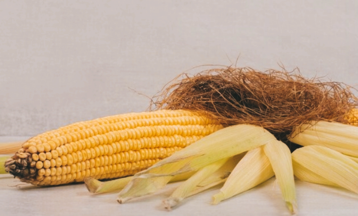 Manfaat Rambut Jagung yang Jarang Diketahui, Bisa Atasi Diabetes Hingga Cegah Kolesterol Tinggi