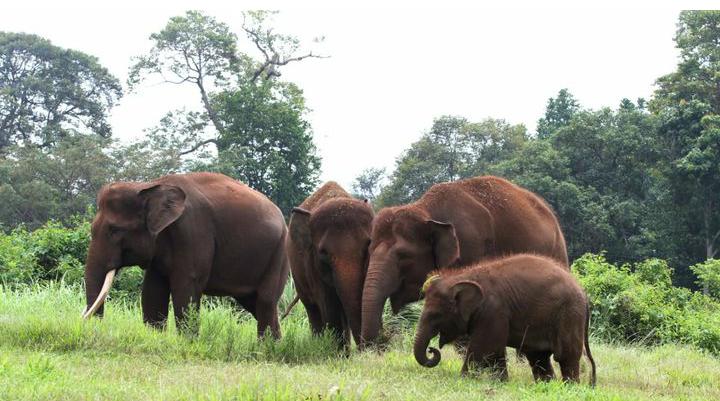 3 Wisata Edukasi di Lampung yang Cocok Buat Anak Kunjungi Saat Berlibur, Cek Tiket Masuk dan Fasilitas Lengkap